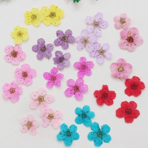 Real Pressed Flower Earring & Necklace Set (Style 14)