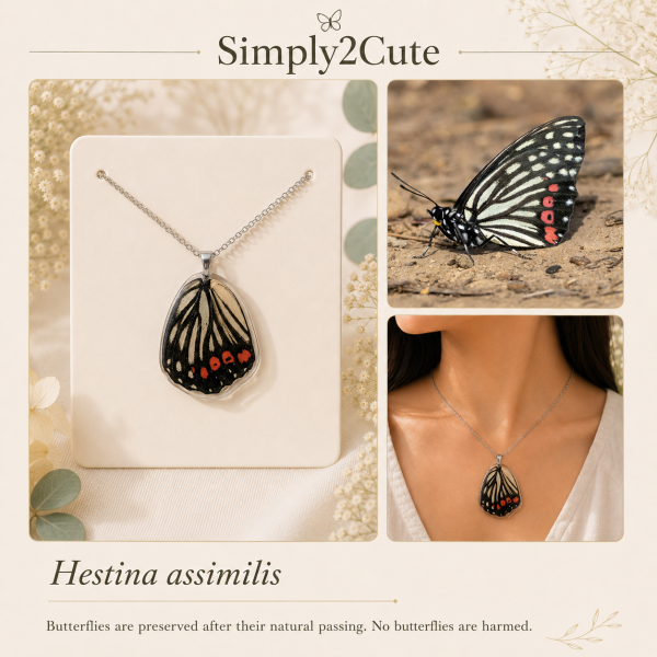 20 C real butterfly wings necklace gold plated on stainless steel hypoallergenic light weight
