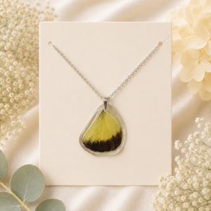 Style #21 Real Butterfly Wings Necklace  (butterfly Ixias pyrene)