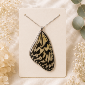 Style #24 Real Butterfly Wings Necklace  (Idea leuconoe butterfly)